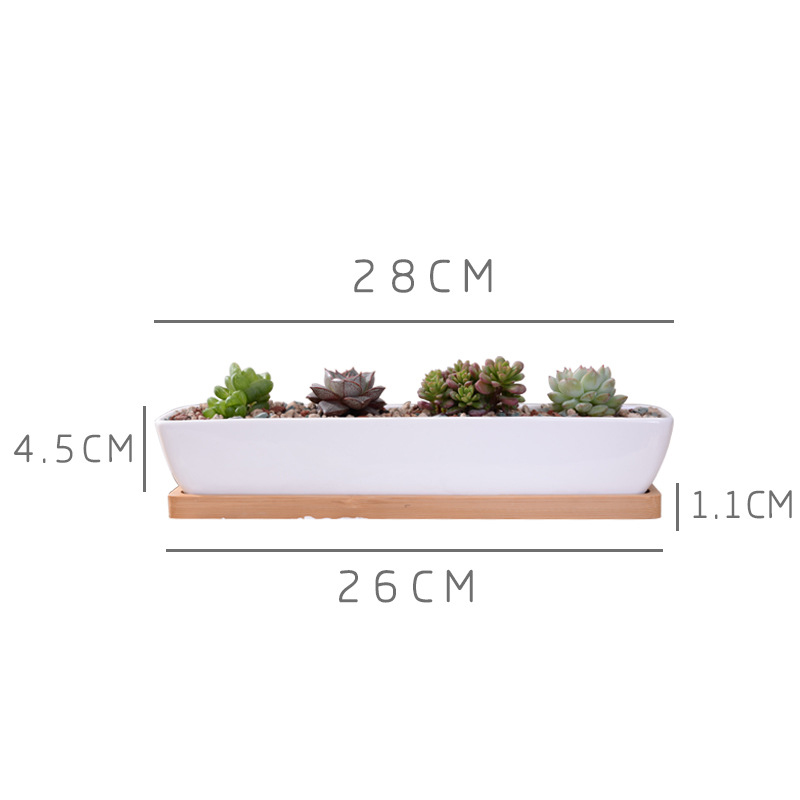Long Rectangle White Ceramic S - огляд і ціна Aloe Vera Pot