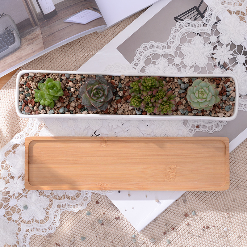 Long Rectangle White Ceramic S - огляд і ціна Aloe Vera Pot