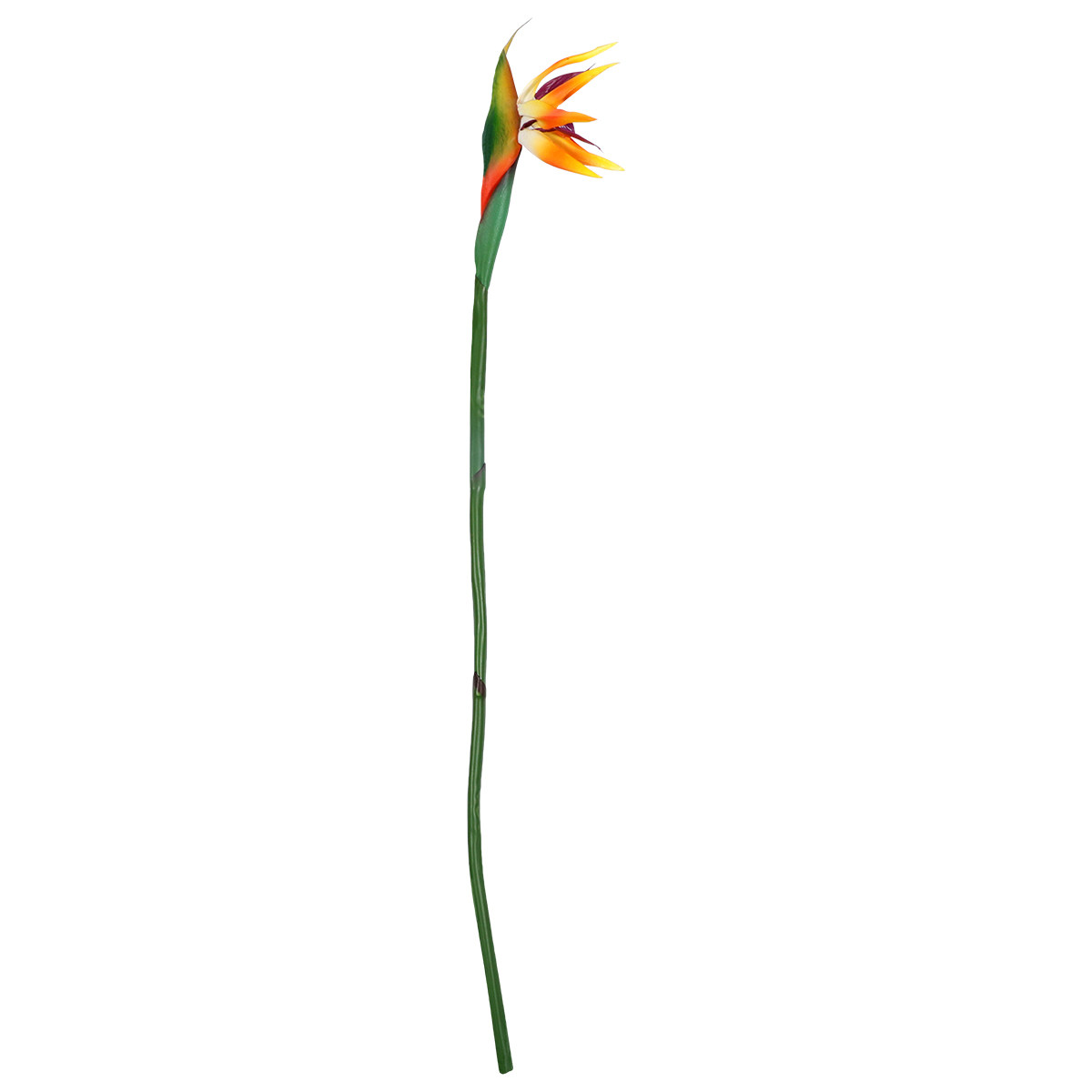 Artificial Bird of Paradise Fl - огляд і ціна Bird Paradise Strelitzia