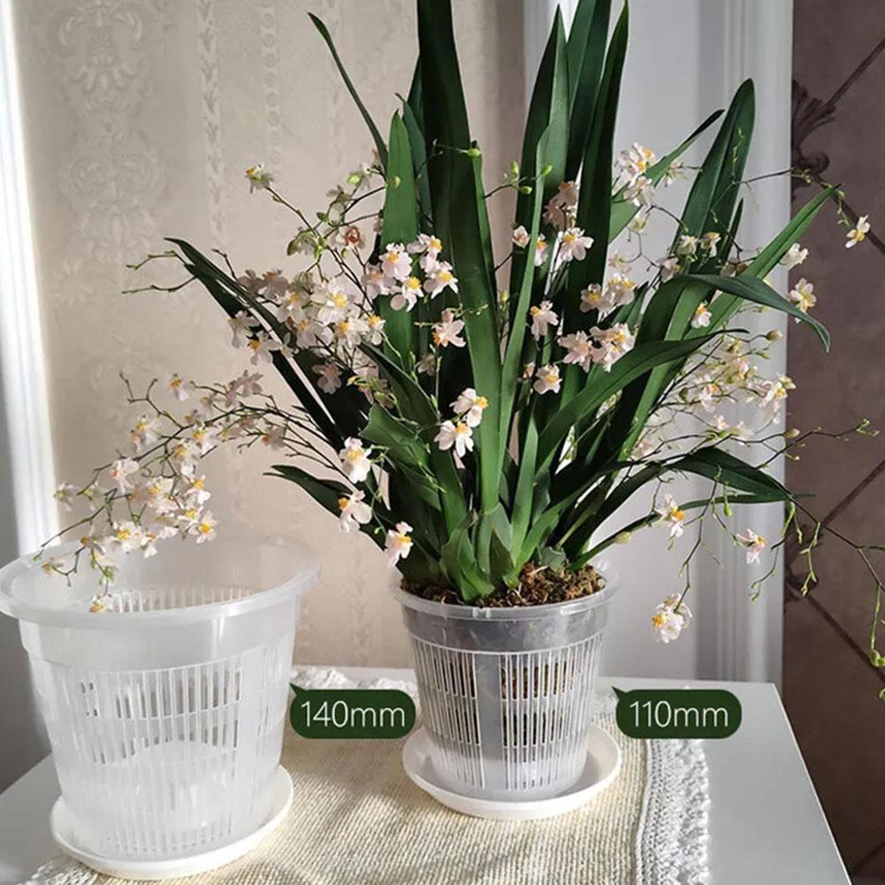 Mesh Pot Root Control Transpar - огляд і ціна Aloe Vera Pot