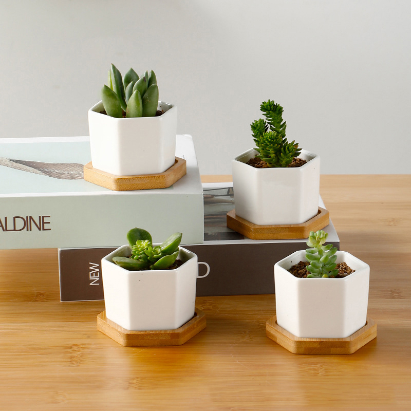 Ceramic Flowerpot White Hexago - огляд і ціна Aloe Vera Pot