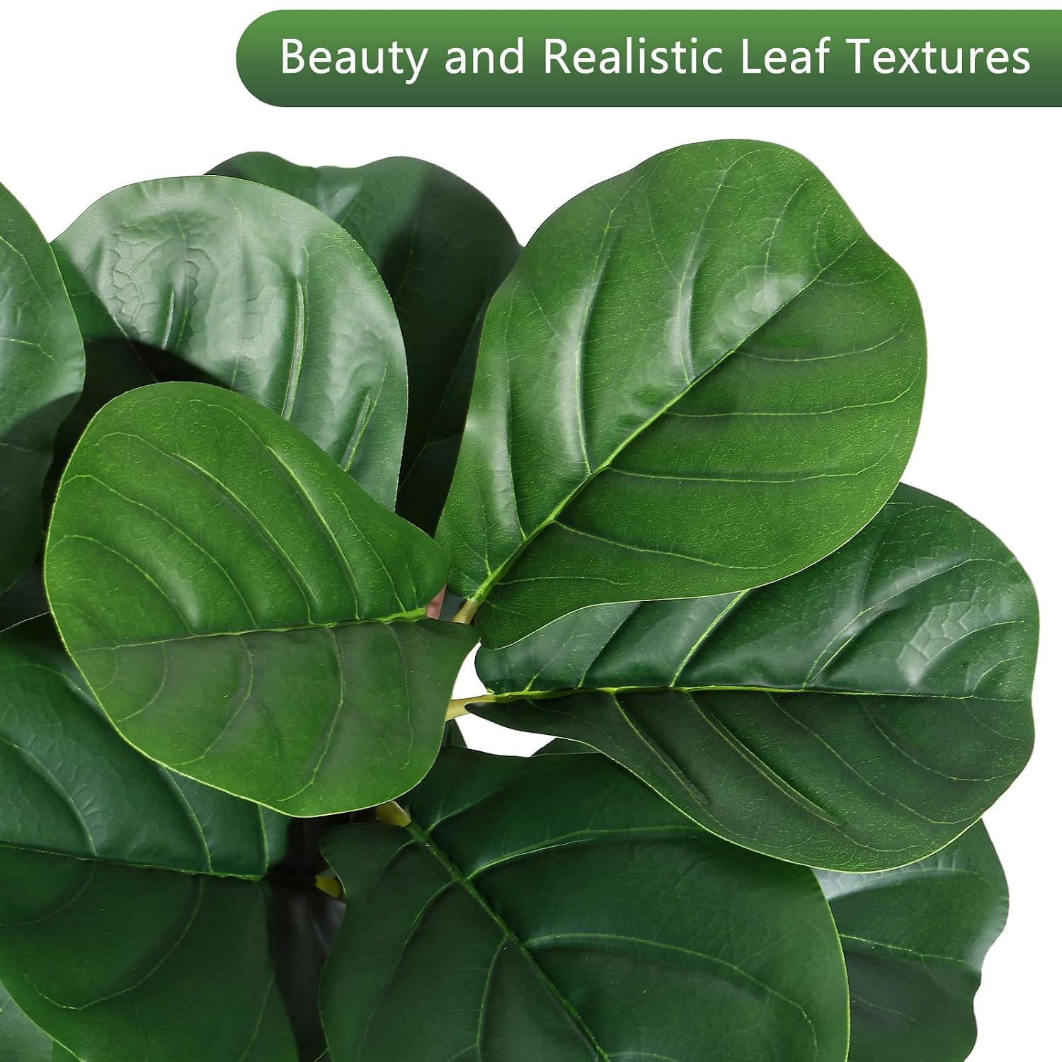 4 ft Fiddle Leaf Fig Tree Arti - огляд і ціна Ficus Lyrata Tree