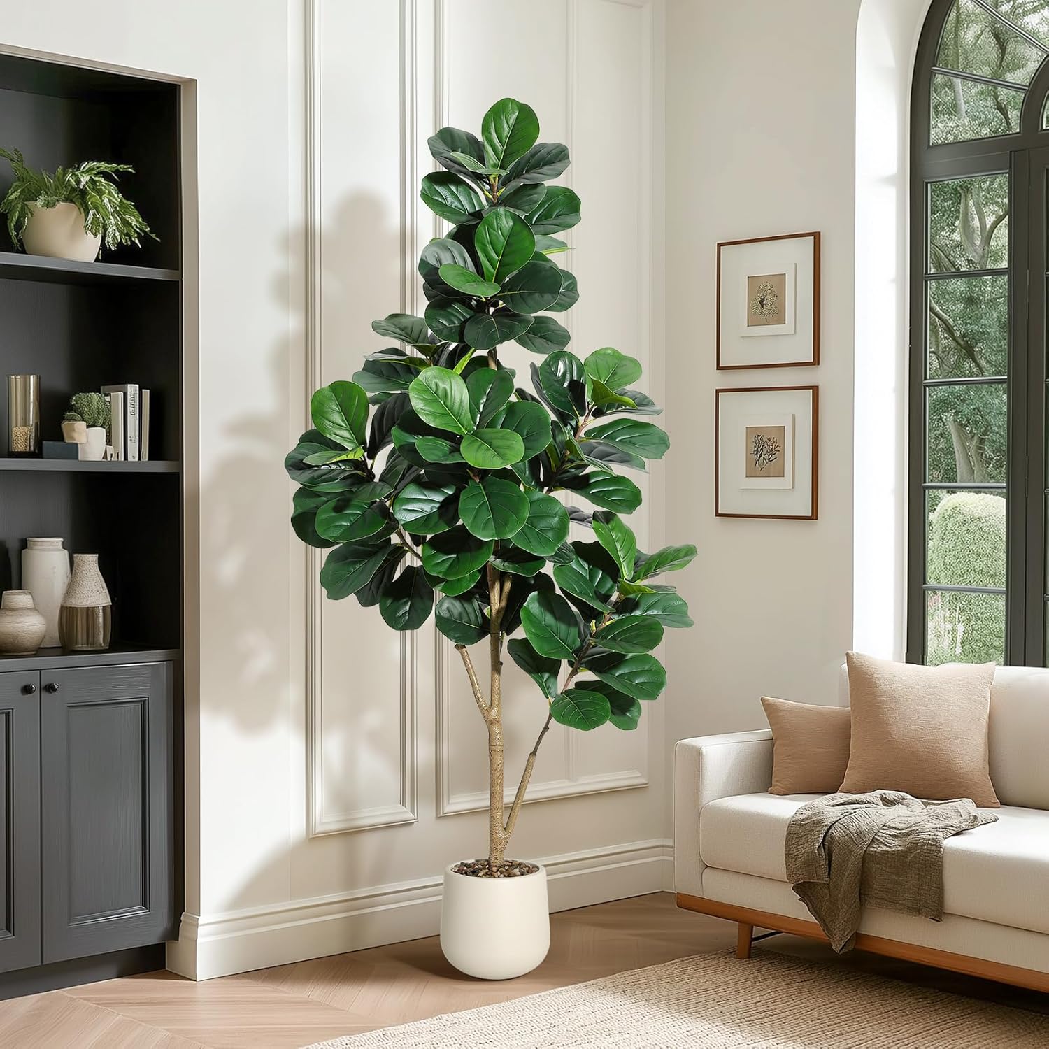 4-7 FT Fiddle Leaf Fig Tree Ar - огляд і ціна Dracaena Marginata