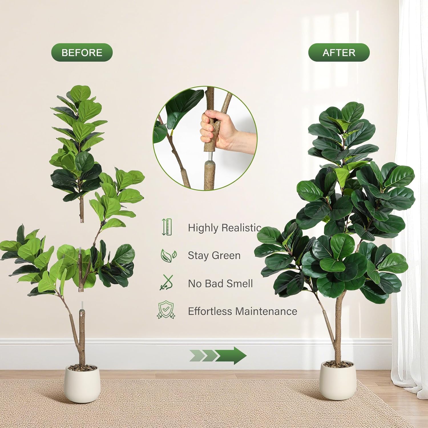 4-7 FT Fiddle Leaf Fig Tree Ar - огляд і ціна Dracaena Marginata