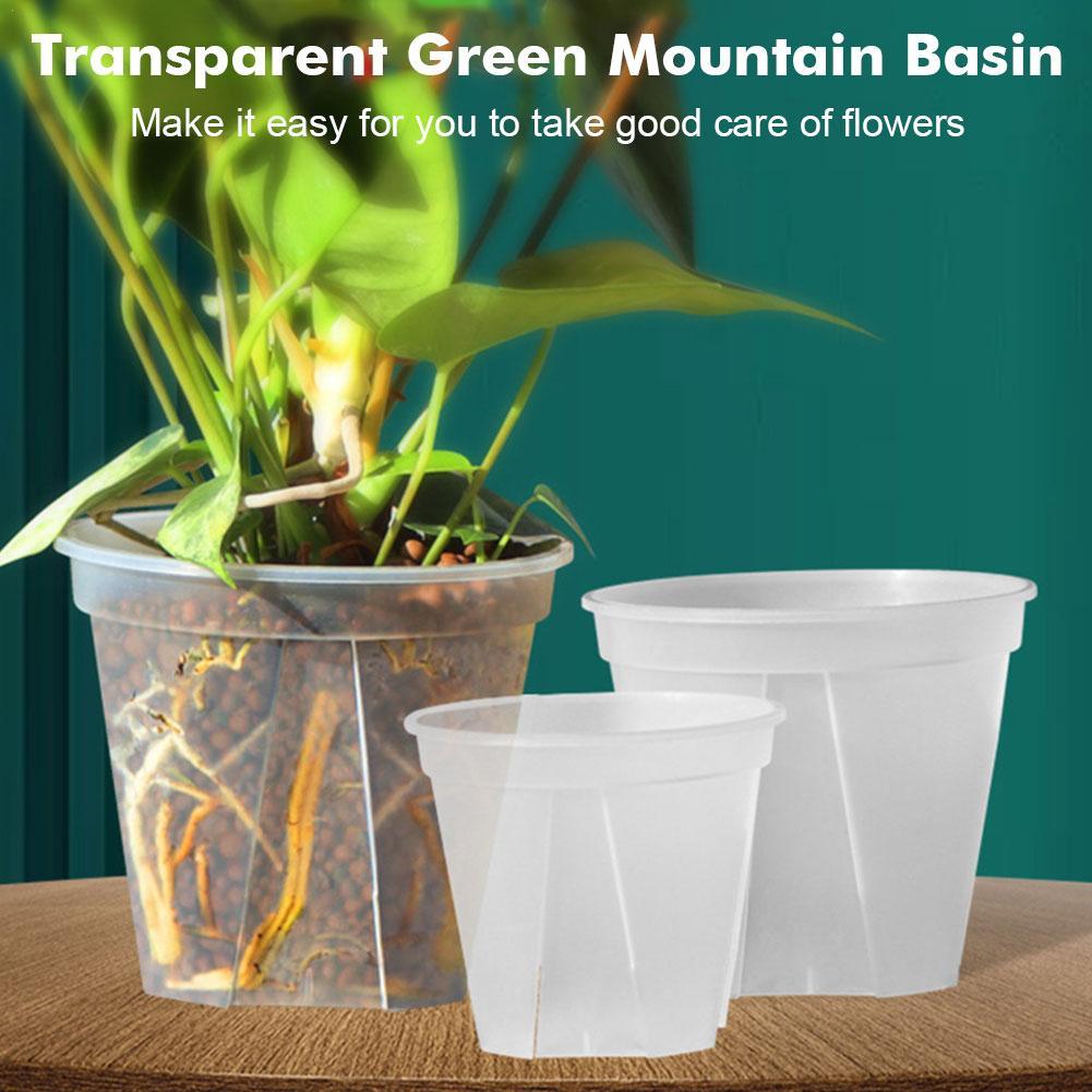 Transparent Plastic Pots Root  - огляд і ціна Aloe Vera Pot