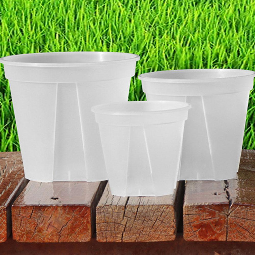 Transparent Plastic Pots Root  - огляд і ціна Aloe Vera Pot