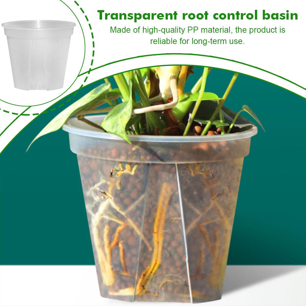 Transparent Plastic Pots Root  - огляд і ціна Aloe Vera Pot
