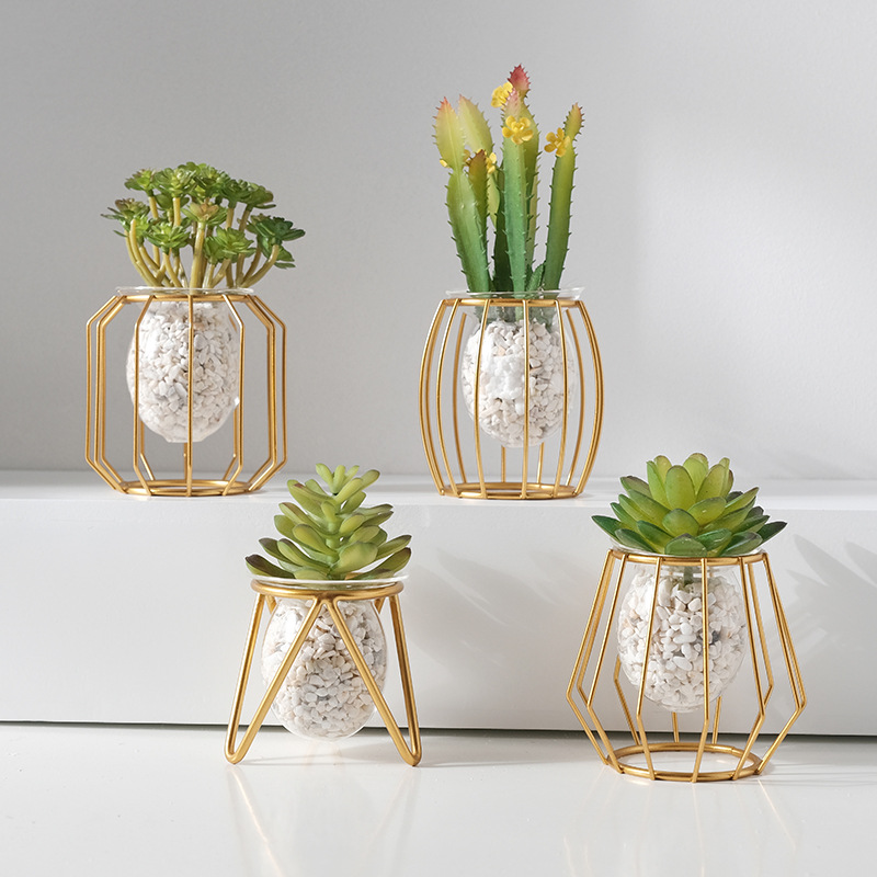 Home creative hydroponic vase  - огляд і ціна Aloe Vera Pot