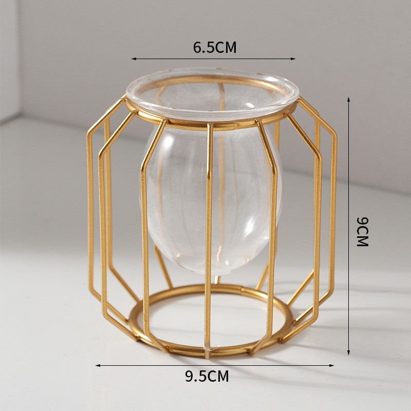 Home creative hydroponic vase  - огляд і ціна Aloe Vera Pot