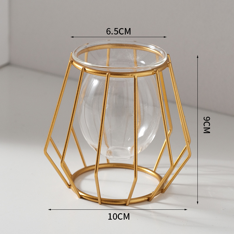 Home creative hydroponic vase  - огляд і ціна Aloe Vera Pot