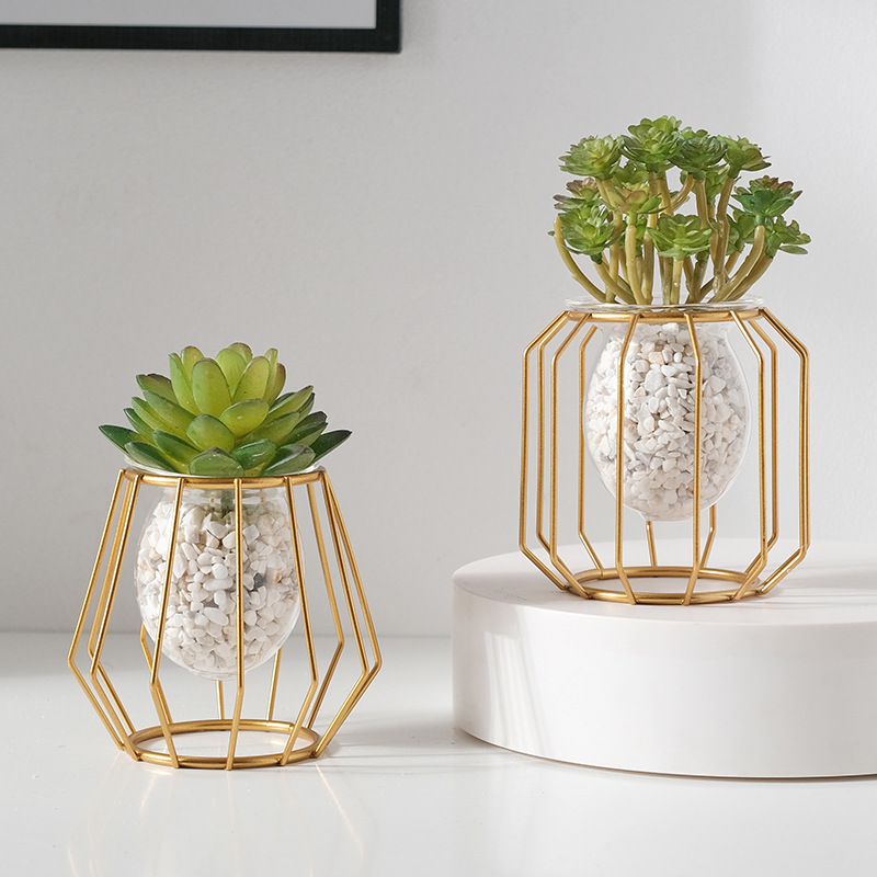 Home creative hydroponic vase  - огляд і ціна Aloe Vera Pot