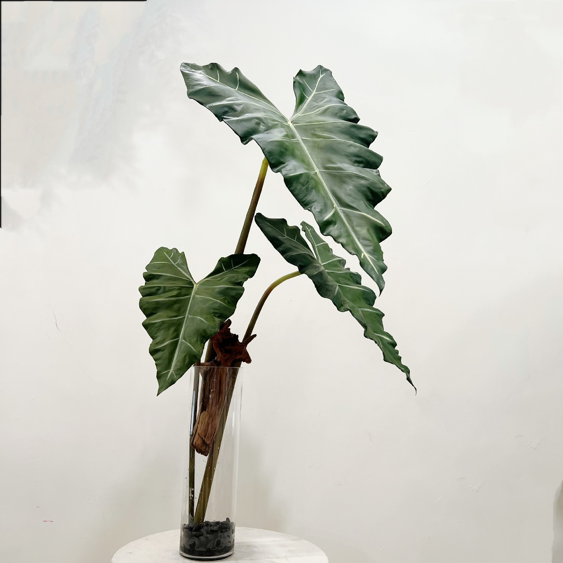 Simulated Long PU Hand-feel Gr - огляд і ціна Dracaena Marginata