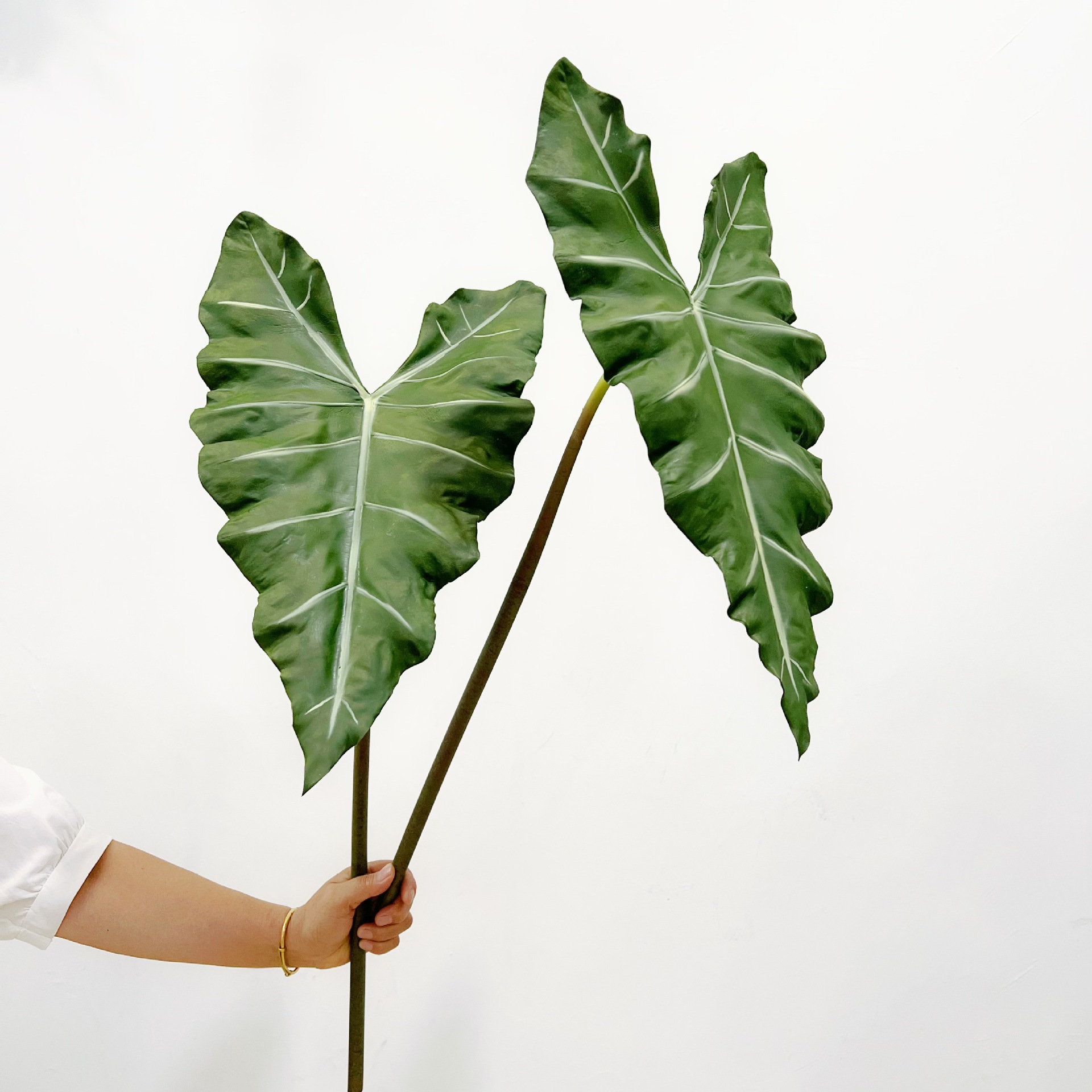 Simulated Long PU Hand-feel Gr - огляд і ціна Dracaena Marginata